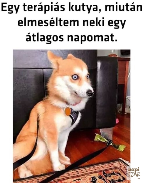 Ez már neki is sok volt