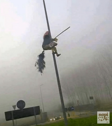 Anyós szegény eltévedt a reggeli ködben