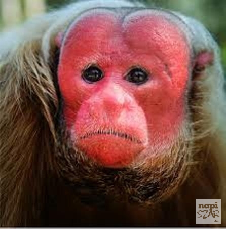 Amikor csőcsere volt a szoliban, de te ezt nem tudtad!