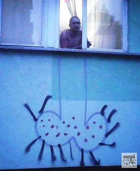 Van pár rosszakarója a srácnak