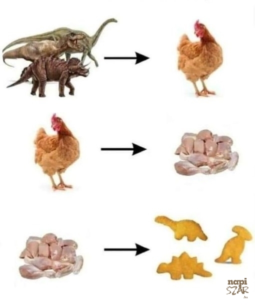 Körbeért az evolúció