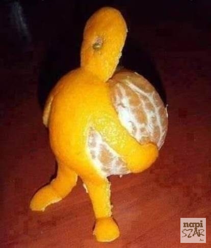 Engem te nem eszel meg!