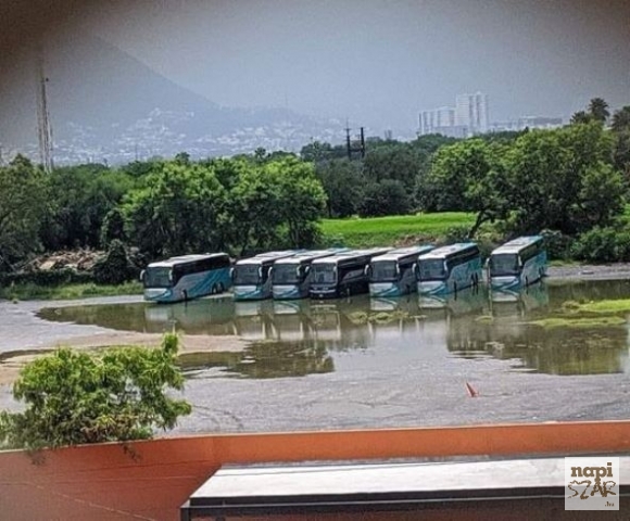 Egy ritka természetfotó