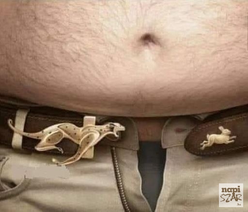 Elkezdtem pár hete keményen diétázni