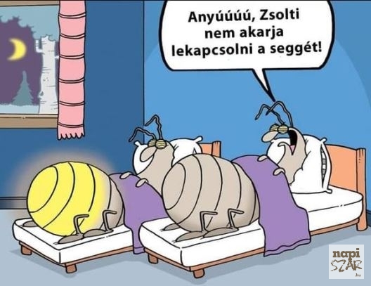 Szentjánosbogáréknál...