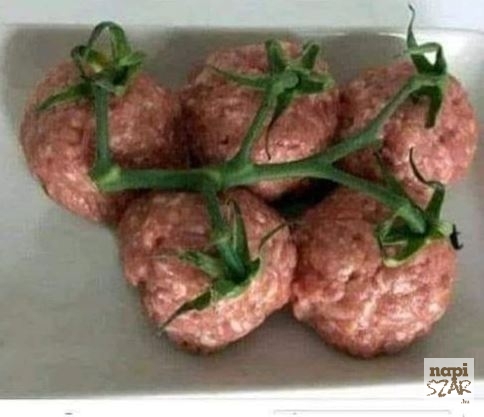 Egy hete elhatároztam, hogy vega leszek...