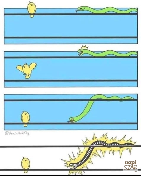 Feszült lett számára a helyzet