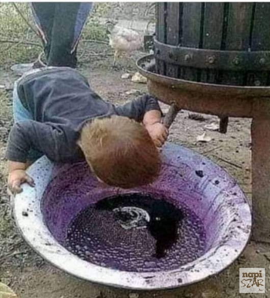 Így kezdődött minden