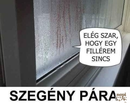 Kedd reggeli képvicc