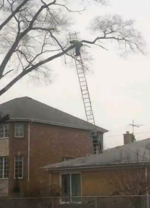 Ezért élnek tovább a nők