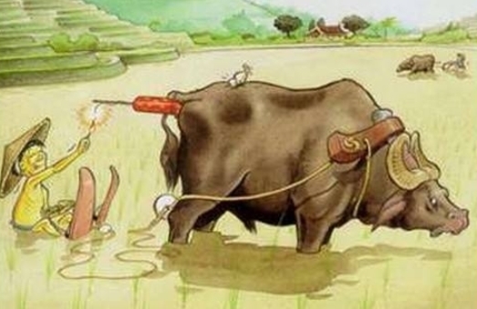 Vízisí - Vietnámi verzió