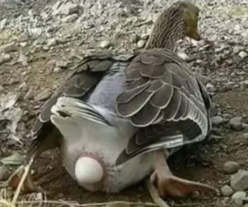 Amikor sietsz haza, de kezded elveszíteni a harcot