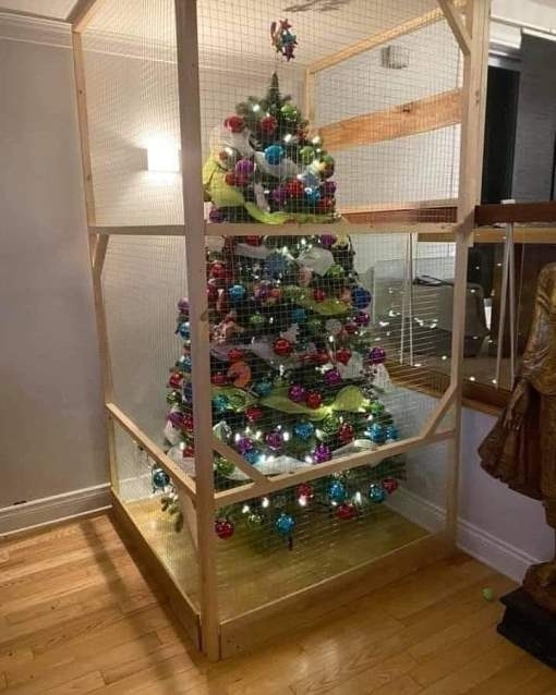 Amikor közeledik a karácsony, de van 3 macskád