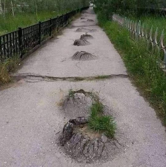 Mikor egy vakond bepiál és rossz helyen kezd el vagánykodni