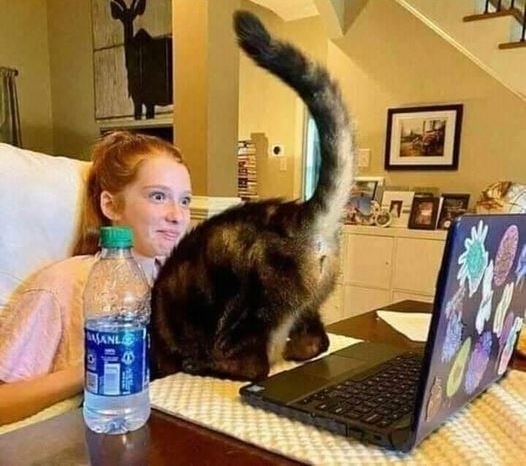 Éppen online órája volt a kiscsajnak