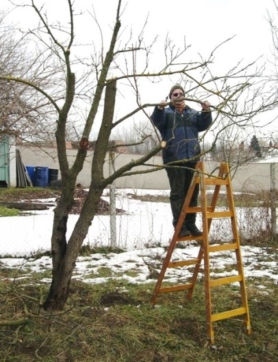 Amikor már decemberben elfogy a pálinkád...