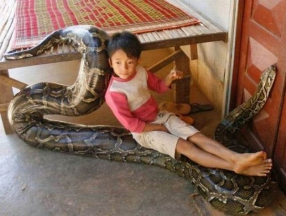 Ez biztos, hogy jó ötlet?