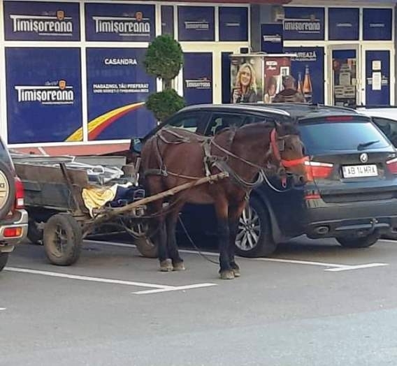 Szabálykövetésből jeles