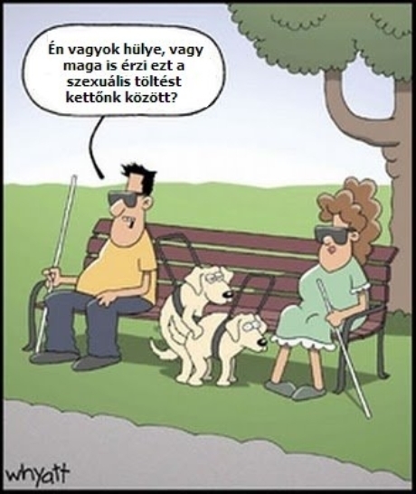 Egy vakrandin történt