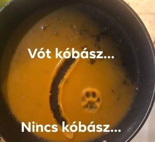 Cirmi megkívánt egy kis sült kolbászt
