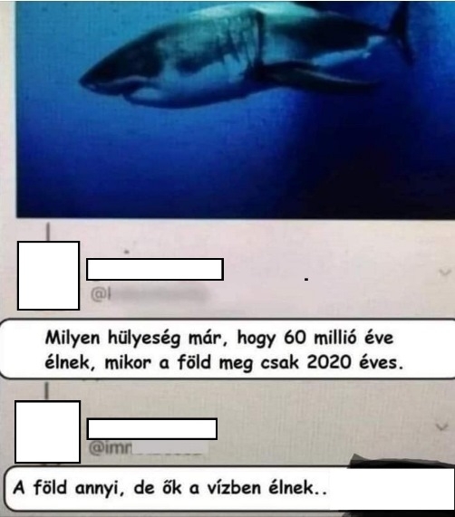 Két zseni társalog