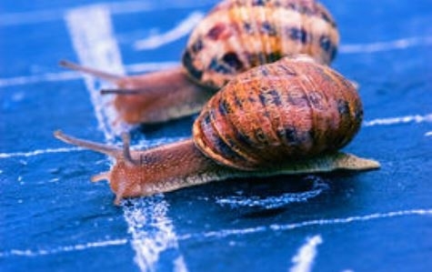 Agresszív sofőrök bárhol létezhetnek