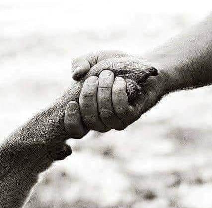 Egy nap majd találsz valakit, aki szeret és megért téged