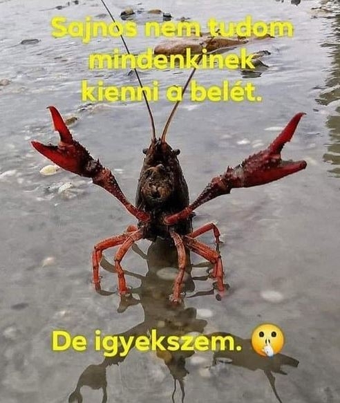 Egy bizarr üzenet 🙂