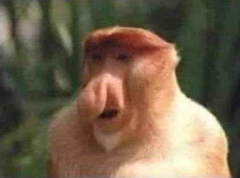 Amikor már túl vagy a 20. Covid teszten