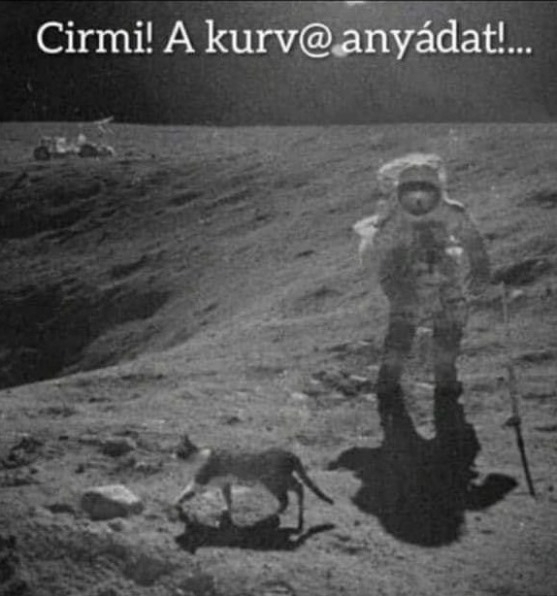 Holdra szállás? Milyen Holdra szállás? 