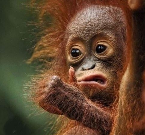 Mikor valaki megkérdezi, hogy hogy megy a szekerem