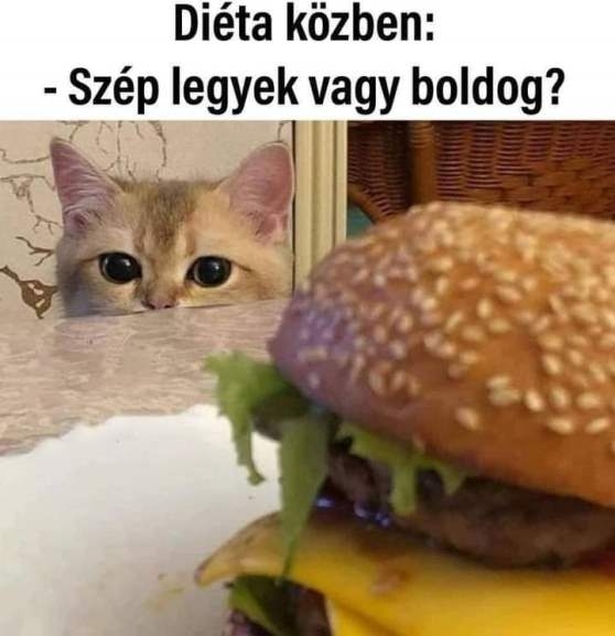 Manapság úgyis divat a nagy segg