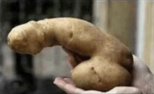 Ebből valami f@sza krumplis cucc lesz ebédre