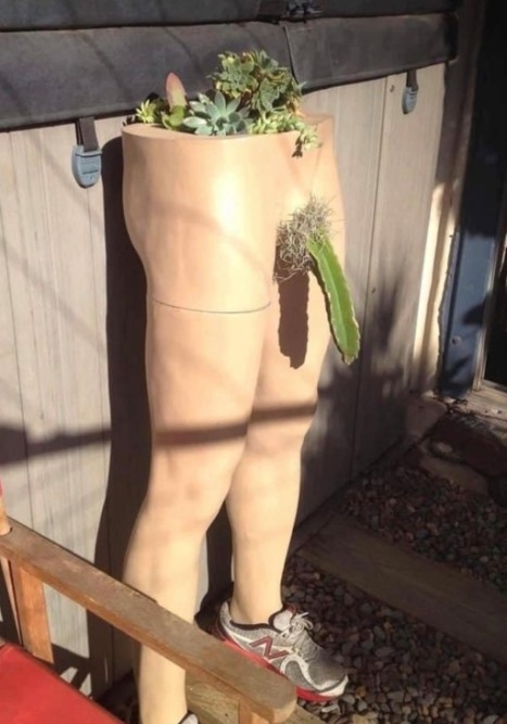 A nap, amikor kirúgtak a kertész csoportból