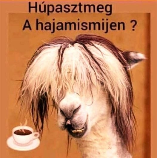 Nem látta valaki a kávémat?