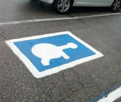 Csak akkor parkolhat ide, ha ön egy teknős