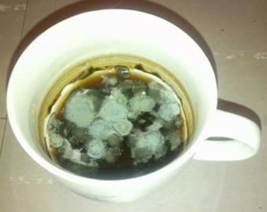 Zöld tea - koleszos verzió