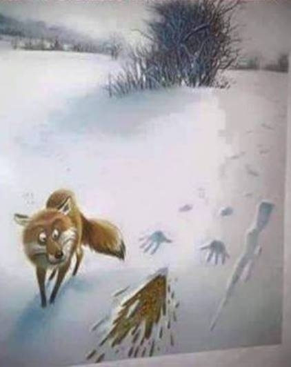 Amikor két róka találkozik