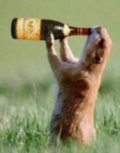 Jótanács magányos nőknek 