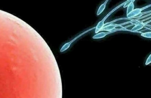 Az első gyorshajtásos fotóm