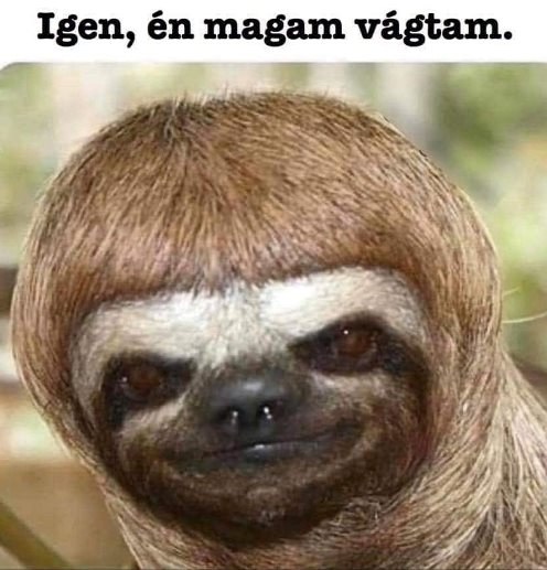 Önkéntes karantén - 15. nap