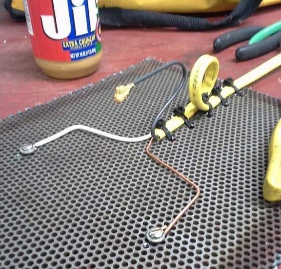 Elektromos egércsapda