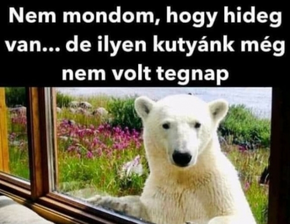 Reggel még aktuális