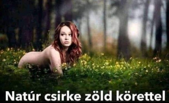 A séf mai ajánlata