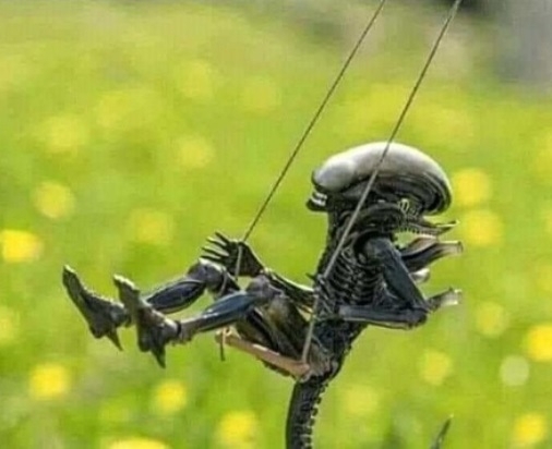 Egy kisvárosban élek