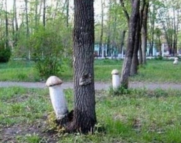 Ami a meséből kimaradt