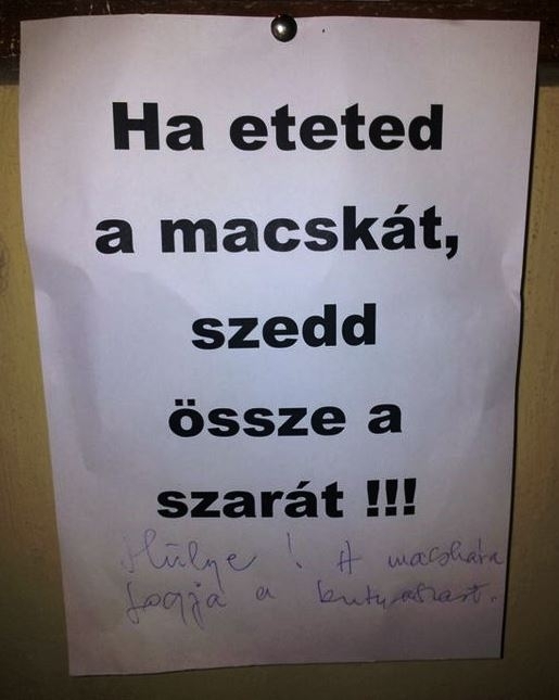 Lépcsőházi üzenet