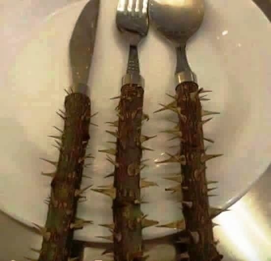 Étkészlet diétázni vágyóknak