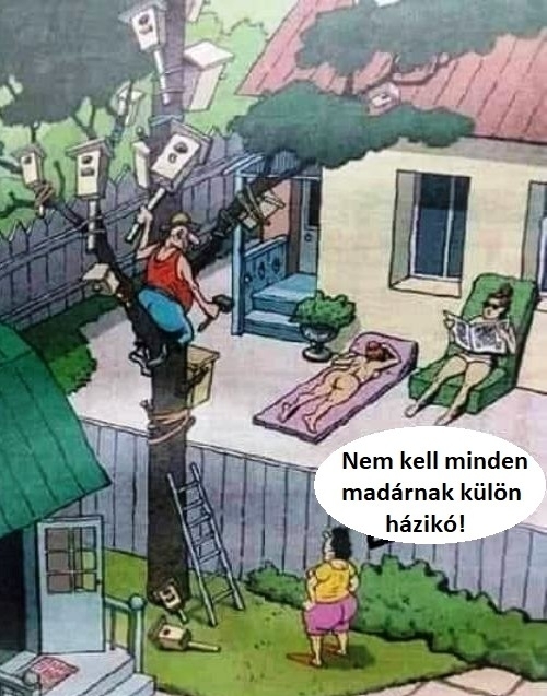 Új csajok költöztek a szomszédba