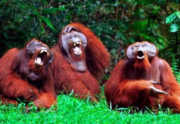 Amikor a hozzáértők megvitatják, hogy miként kellene élned az életed